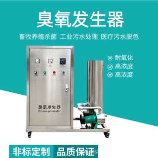 氧气源臭氧发生器食品车间空气净化消毒机垃圾房杀菌除臭设备