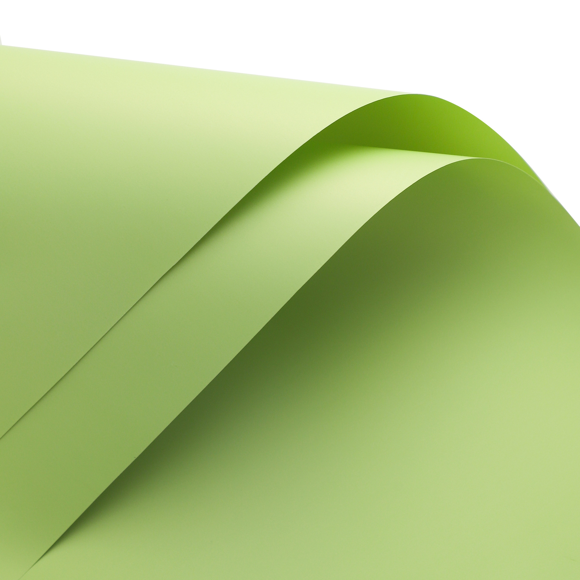 48 verde frijol claro; 56 cm, 20 fotos