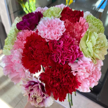 ??õ廨rϻֱlrƿ廨rлˮB