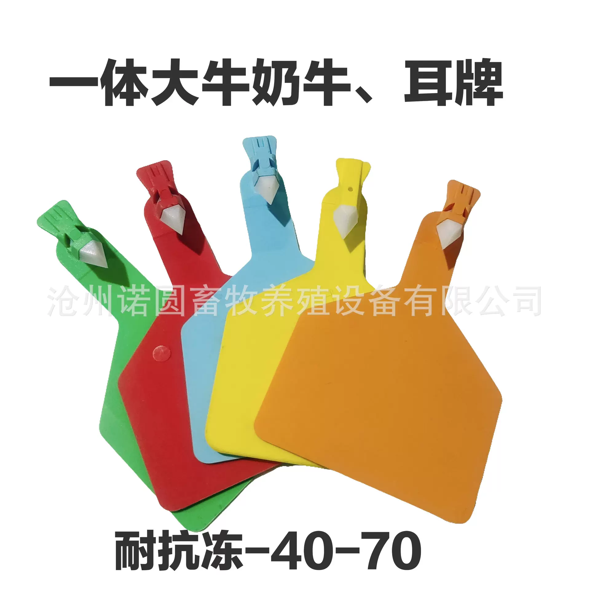 牛耳标 牛用一体耳标 奶牛一体耳标 连体耳标 大号牛耳标