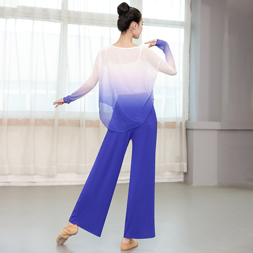 New classical dance clothes for women, floating gauze tops, practice clothes, Chinese style modern dance loose mesh long-sleeved suits