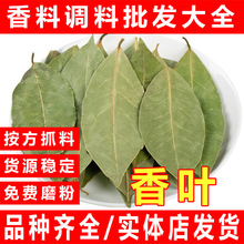 香叶香料批发香叶散装干香叶茴香调料大全香叶大货批发新货月桂叶