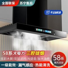 抽油烟机家用厨房顶吸式T型大吸力欧式壁挂小型油烟机工厂直销