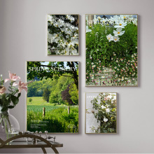 森林风景摄影海报装饰画ins风卧室床头挂画北欧客厅壁画小众摆画