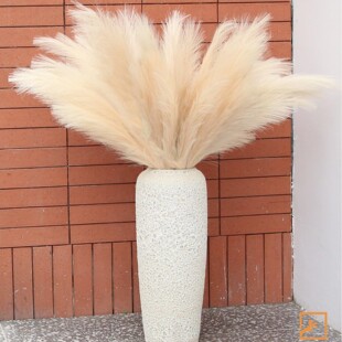 ����˹��55cm���R�d�羳���Wboho��Y�b�������Ȕ�����JȔ��