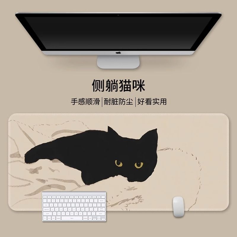 옆으로 누워있는 고양이