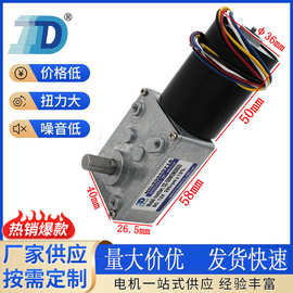DZ-58WGM3650汽车用直流减速电机 激光切割供料机12-24V直流马达