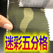 �F؛T/C�����Բʲ���ָ�켏���޷����Ứ��˺��С�������Բ�