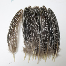 ���l15-20cmĸ�u����C����ëDIY�Ʒ�����̨�����߶�؈����ë