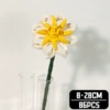 Camellia C3