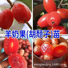 ���̹���޽������ش�����̖���̹�����j����������ϱ���ͥԺ