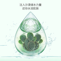 單片裝葉仙妍仙人掌沙漠肌水嫩面膜 清爽潤秋冬補水面膜廠家直發