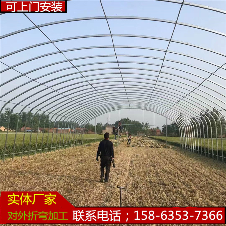 滨州沾化冬枣大棚 果树防雨大棚 简易插地棚 可上门施工 一村管棚