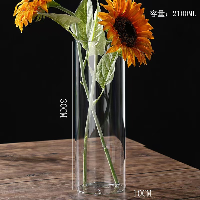 直筒玻璃花盆水培植物生态瓶大号摆件绿萝插花器透明鱼缸花瓶