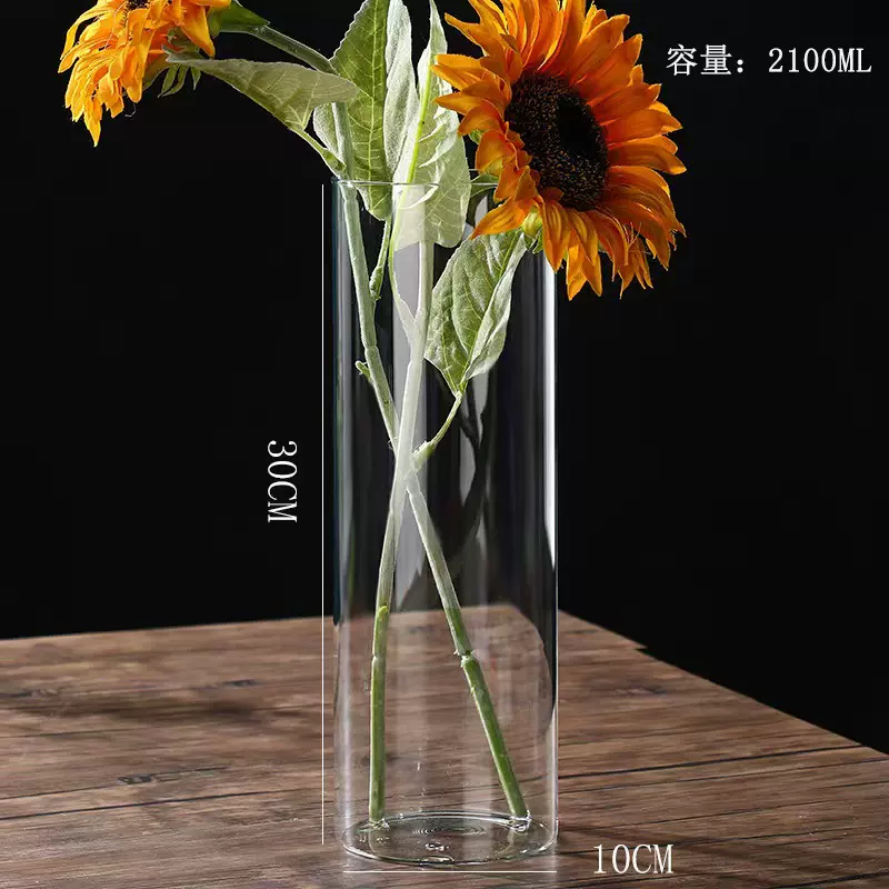 直筒玻璃花盆水培植物生态瓶大号摆件绿萝插花器透明鱼缸花瓶