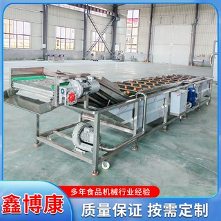 全自动气泡清洗机 玉米菠萝蔬菜冲浪式清洗机 喷淋式大姜清洗机