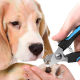 Pet comb open knot comb nail clippers suit cat dog cleaning beauty suit cat nail file nail clippers needle comb