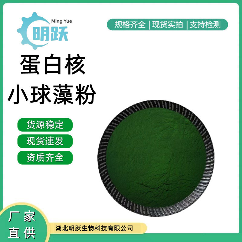 Protein-rich chlorella powder is available in stock as a food-grade nutritional supplement. Green algae powder, chlorella powder