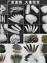 �S��diy�Ʒ���������ë��ɫ��c��ë���uë�Zë��ˇƷ�b�