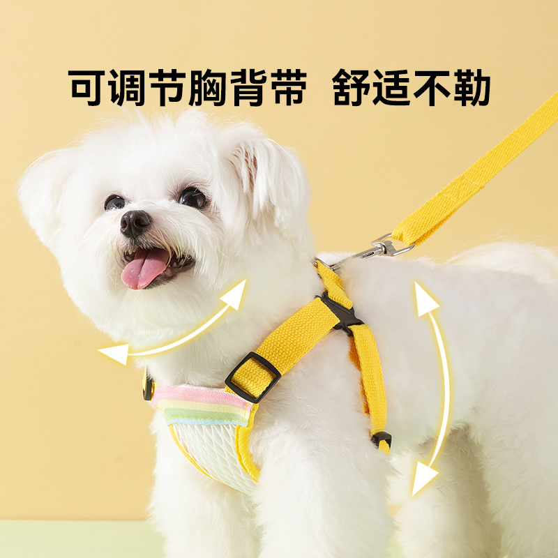 El perro sale con rejilla transpirable, correa para el pecho, correa para el arco iris, perro pequeño y mediano, peluche, gato, mascota, cuerda para pasear al perro