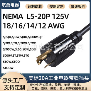 ���� NEMA L5-20P �i��ʽ�Դ��125V 20A���I���L����Ҏ��AWG���x