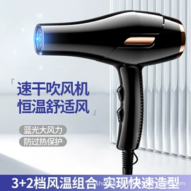 电吹风;空气净化器;卷发/直发器