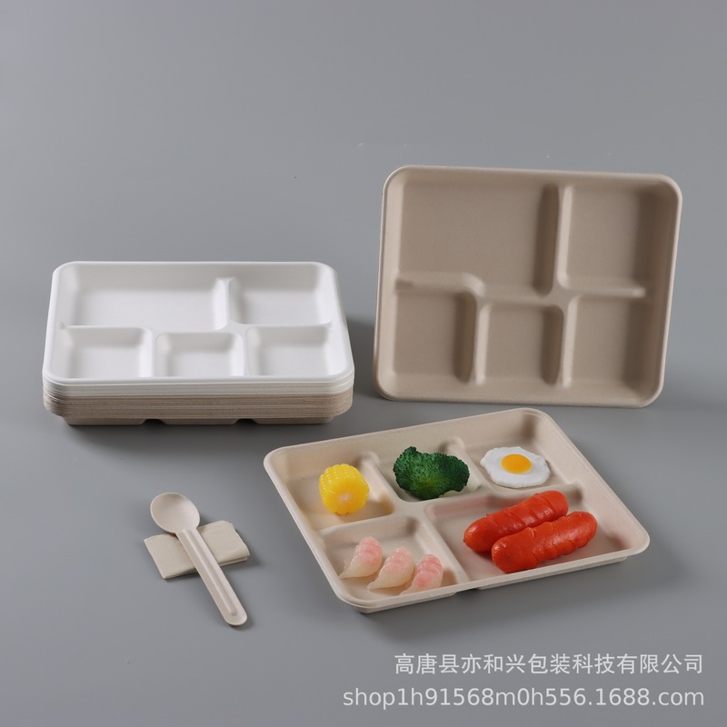 使い捨ての多格の食事皿食器のパルプの食事箱の浅い5格のトレーは皿を分けます。|undefined