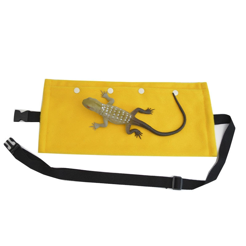 Трансграничные амазонские ящерицы хамелеоны рептилии поставки животных шиншиллы голландские свиньи выходят на вынос с дорожной сумкой