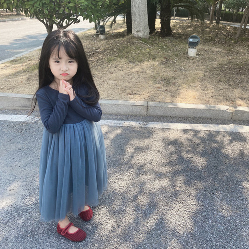 Spring and autumn girls 'dress, children's Australian velvet soft skin-friendly long-sleeved fluffy gauze dress, princess dress