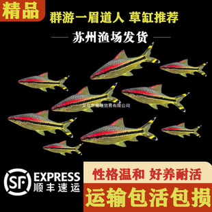 һü�����^�p�~���~С�Ͳݸ�Ⱥ���^�p�~�Ꭷ��ˮ�~�~���w���B�ͻ�