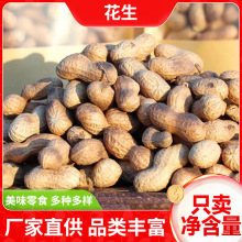 炒花生米原味香酥炒货带壳花生米聚餐休闲娱乐零食熟花生代发批发