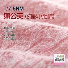 栎美 7.5支蒲公英幻彩小肚纱毛线纱线18%羊毛37%棉25%腈纶20%尼龙