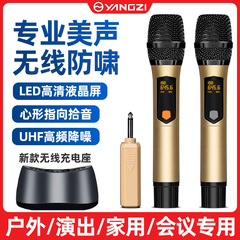 无线麦克风充电一拖二家用KTV声卡舞台直播K歌专业 手持话筒