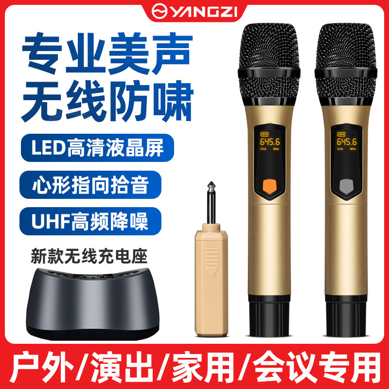 无线麦克风充电一拖二家用KTV声卡舞台直播K歌专业 手持话筒|undefined