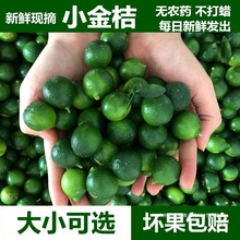 ���rС��۬F؛1��5���̲茣��ˮ������С���С�������������