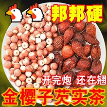 ���x����Ӱˌ���M�ϲ��͌���ʿ�B������ʿ�͌�������ʿ����ٰl