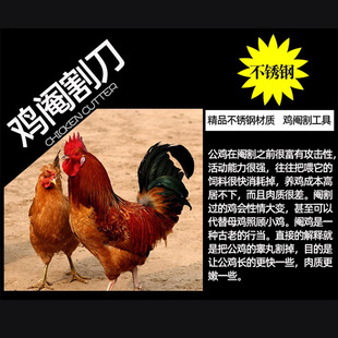 ���P䓌��I��u����ȫ����u��С�u������u�����u鎸