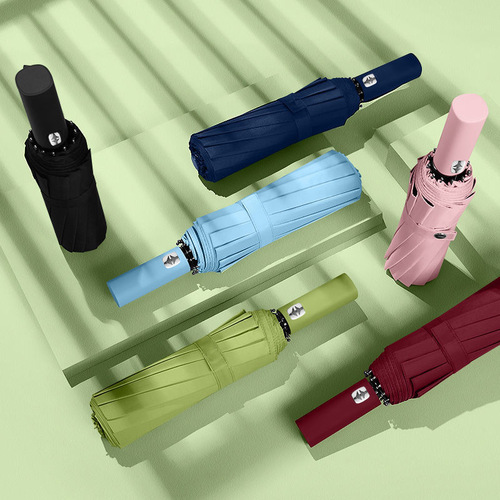 Automatic Large 24-Bone Rain Umbrella for Girls, Student-Friendly, Korean Style, Dual-Person Sun and Rain Umbrella