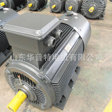 三相异步双速电机 YDT-315L-4/6 400V 110/75kW ,1488/990转