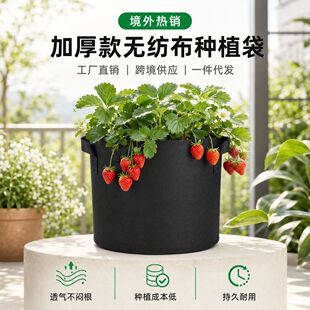 �羳���N��ɫ͸��o�����Nֲ���Ӻ�ӹ̭h���@ˇ�������ֲ�����l