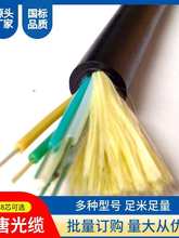 SS���o�׹��|ȫ���|�Գ�ʽ���w�����100��200��4о-288о��|