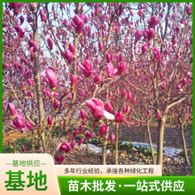 ع ͥԺе@־G ޽m󃞻