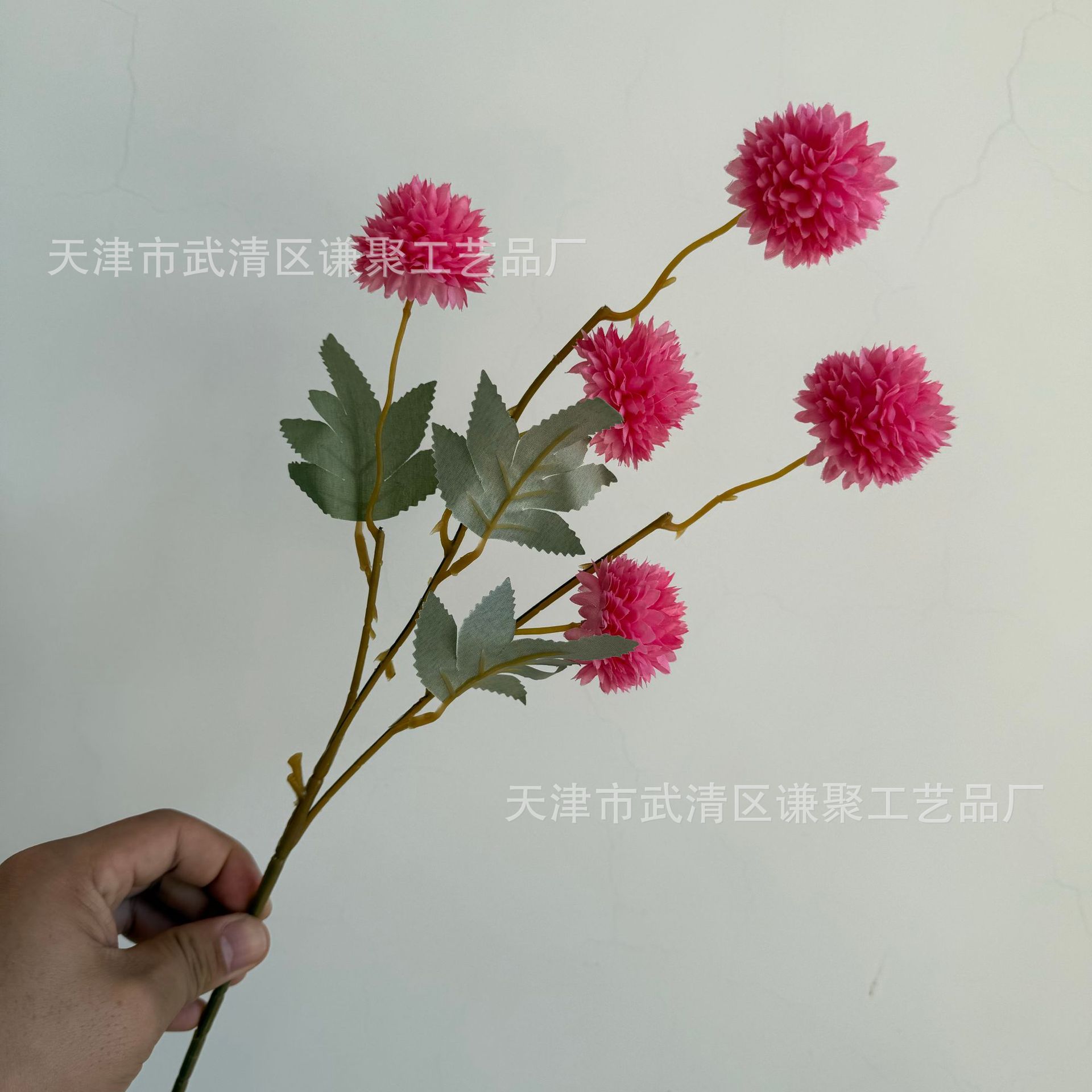로즈 레드