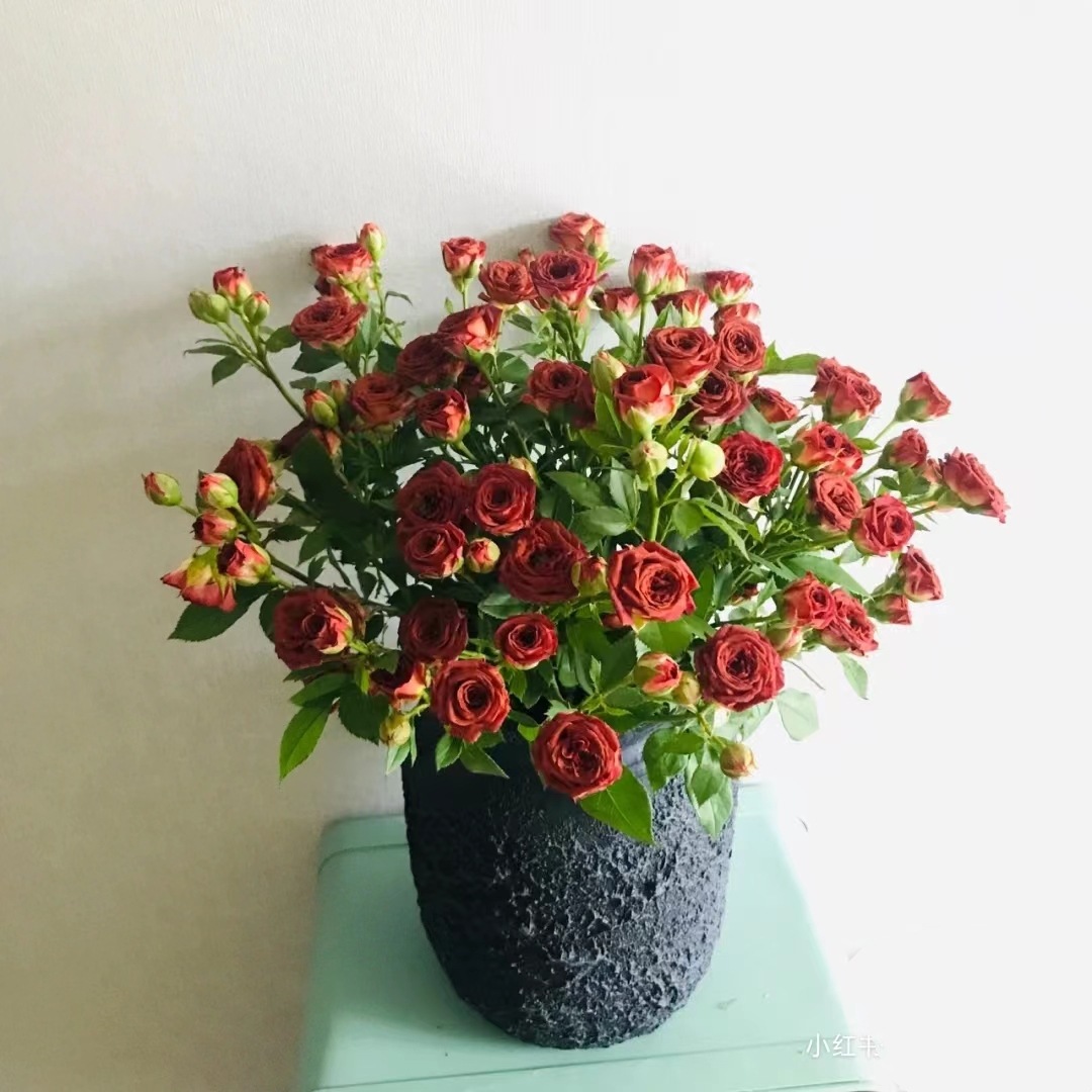 微信图片_20230323014336_副本