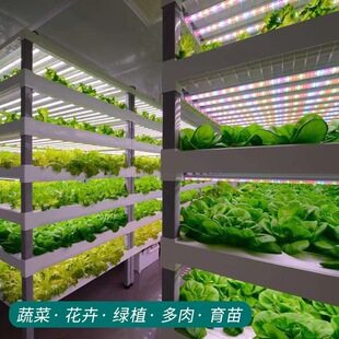 Plant Light Growth Light LED Full Spectrum Sun-Imitation Indoor Household Flower Illumination Light Coloring Leaf Vegetable Lights
