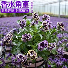 ��ˮ�����������Ԏ������̨��߅����ͥԺ�̨�ͺ������ױ������L