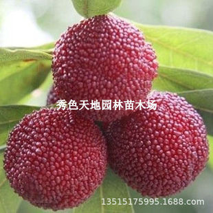 �������÷������㽭�|��������ش�̖ˮ��������Ϸ��Nֲ����