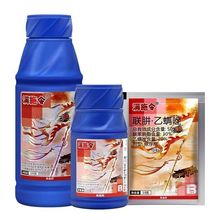 �Mʩ��ӯ�x50%�����\����ټt֩�댣���rș���\���x�����x����