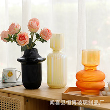北欧ins风花瓶高级感轻奢玻璃花瓶客厅水培插花装饰花器摆件批发