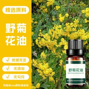 Ұ�ջ���Wild Chrysanthemum Oilˮ�������s Ұ�ջ�����